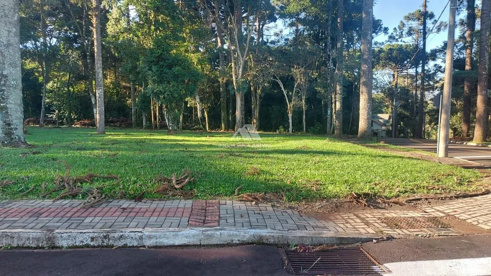 Terreno, 1000 m² - Foto 3