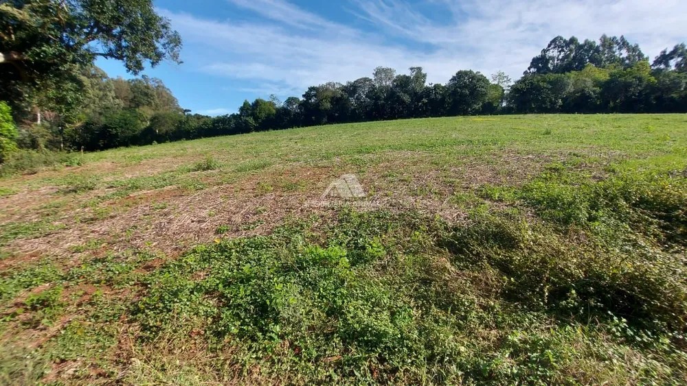 Terreno, 4 hectares - Foto 3