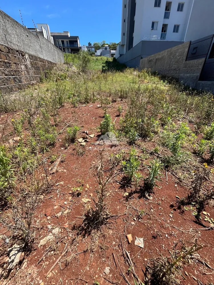 Terreno, 436 m² - Foto 5
