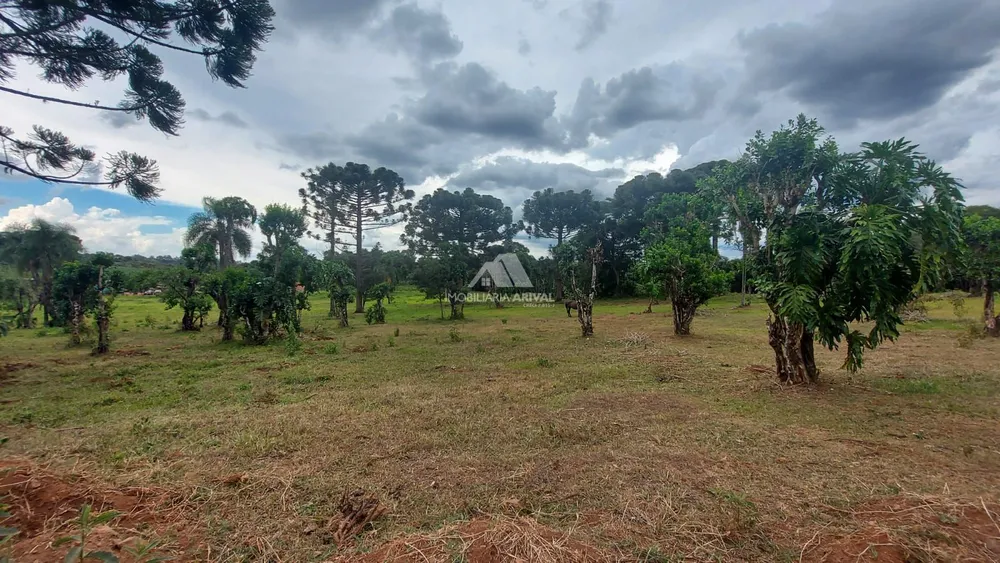 Chácara, 2 hectares - Foto 6