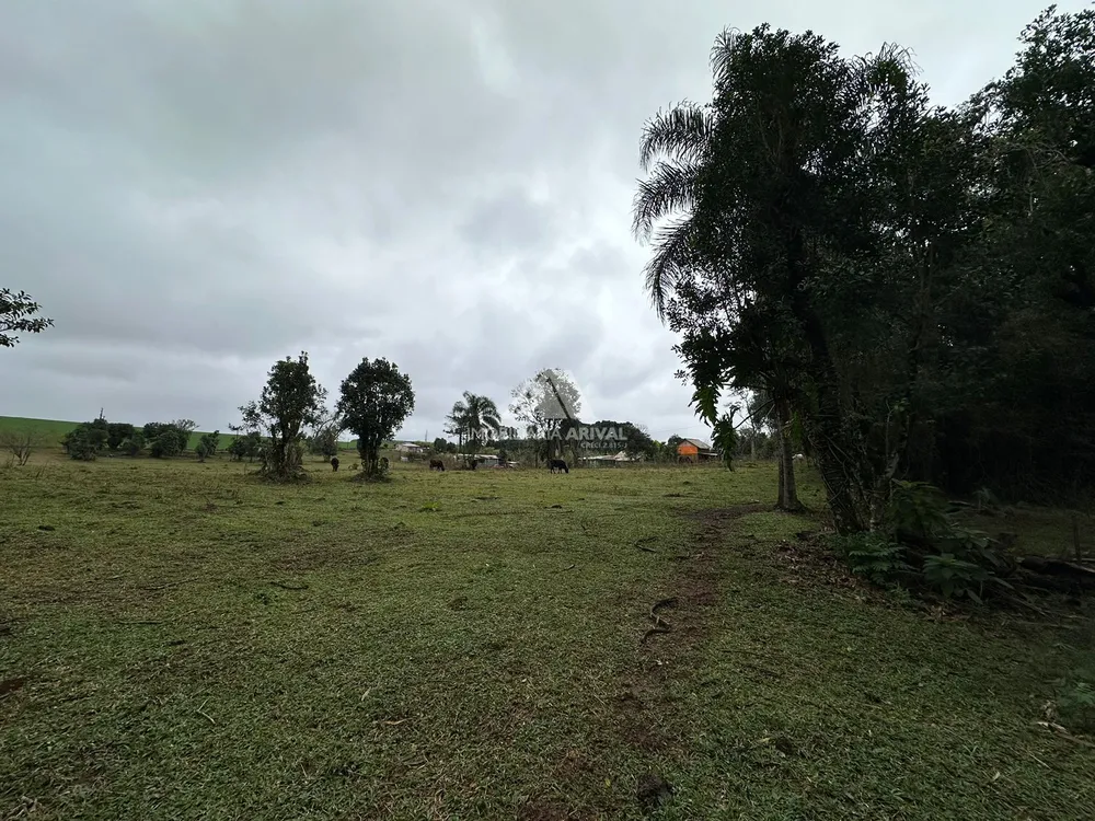 Chácara, 2 hectares - Foto 8