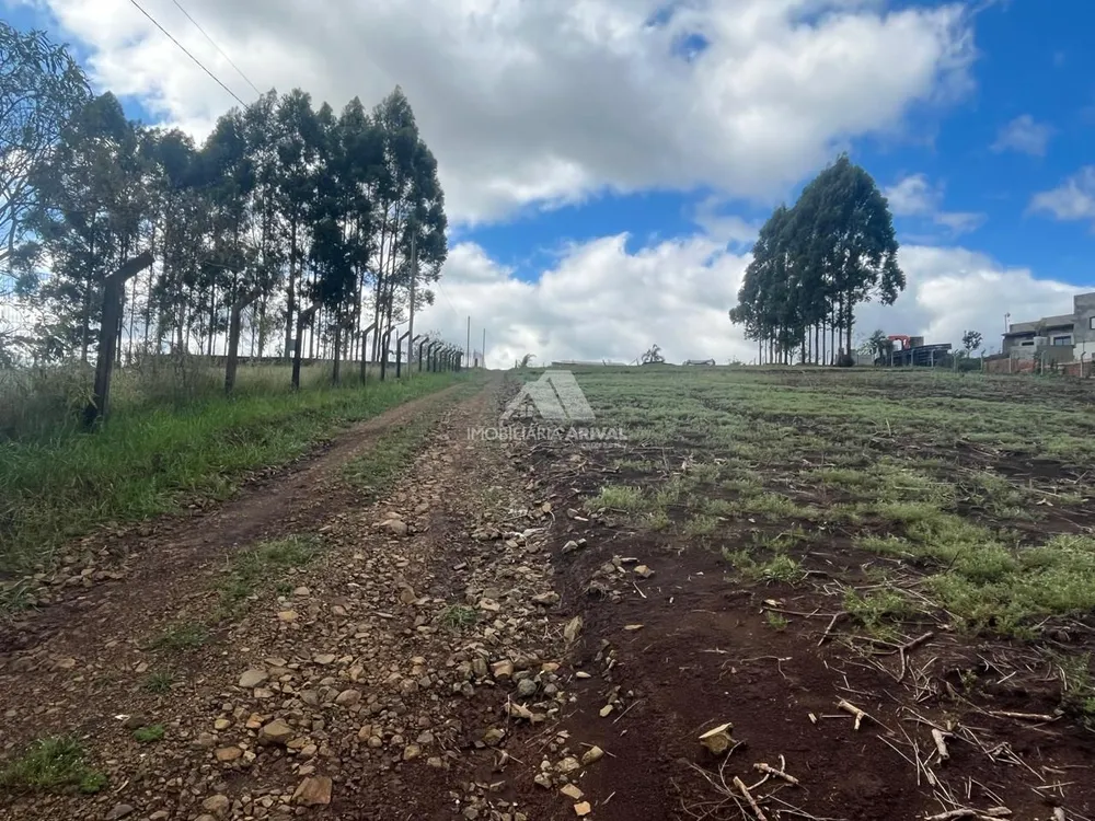 Chácara, 10000 m² - Foto 10