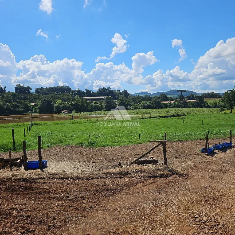 Fazenda, 7 hectares - Foto 3