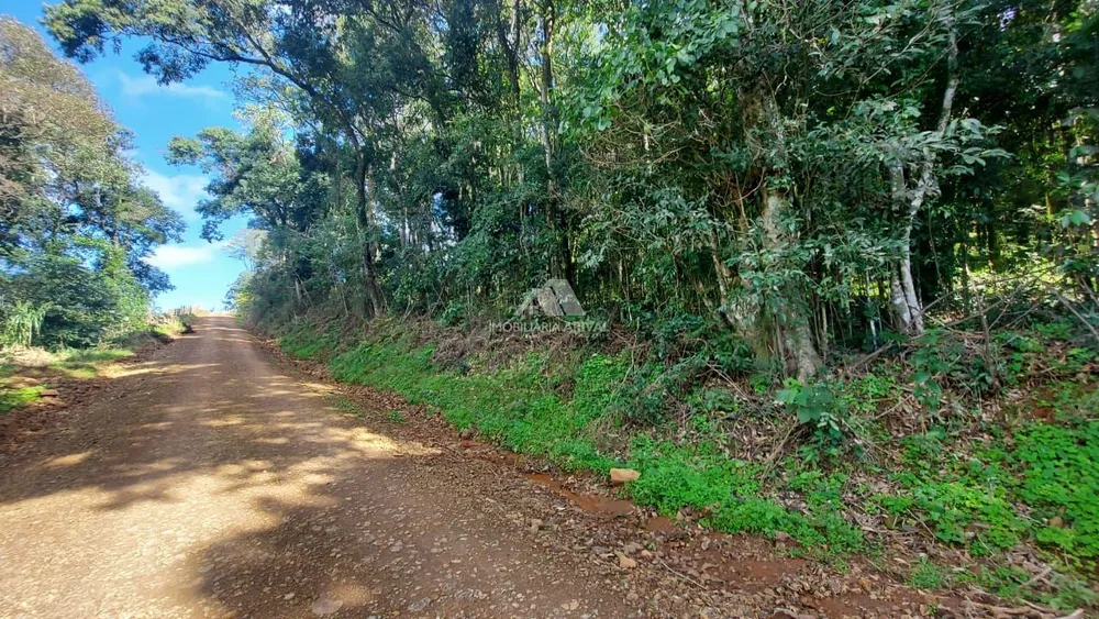 Chácara, 4 hectares - Foto 1