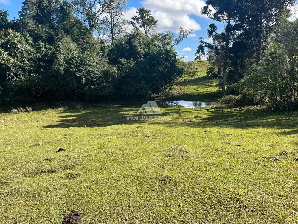 Chácara, 4 hectares - Foto 3