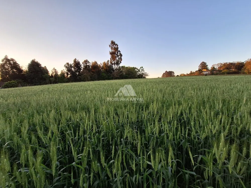 Terreno, 7200 m² - Foto 3