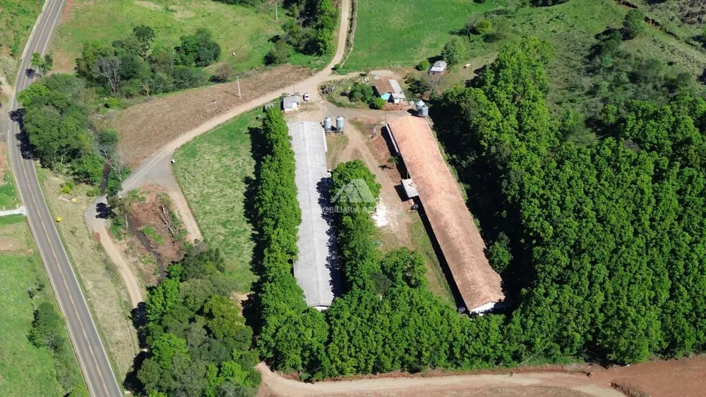 Chácara, 3 hectares - Foto 2