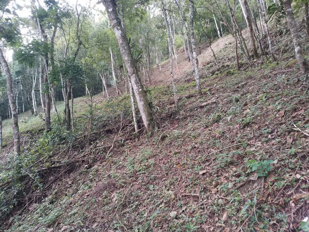 Terreno, 1300 m² - Foto 3