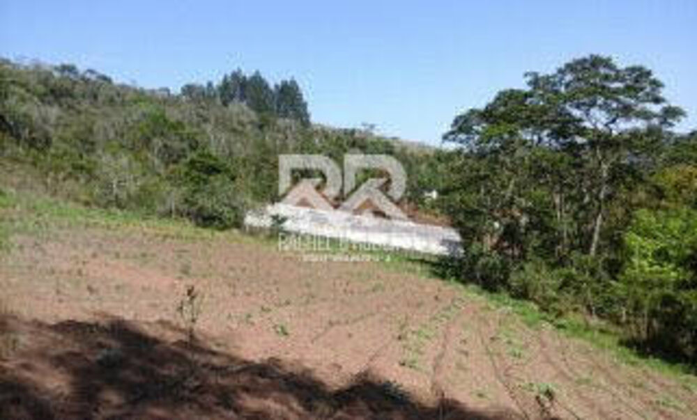 Sítio, 3 quartos, 20 hectares - Foto 20