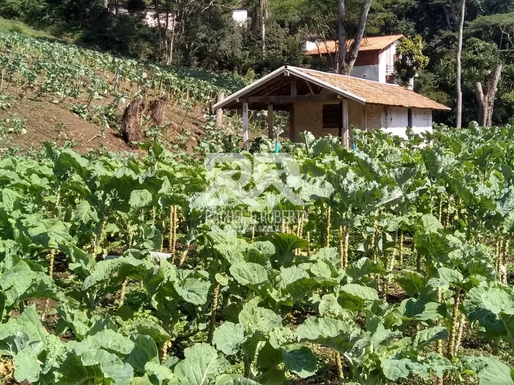 Sítio, 3 quartos, 20 hectares - Foto 16