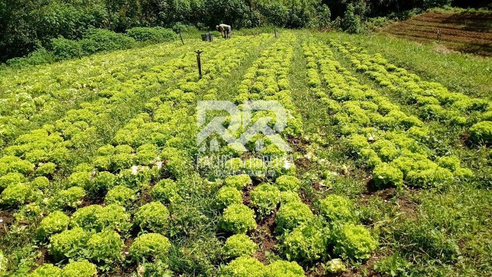Sítio, 3 quartos, 20 hectares - Foto 18