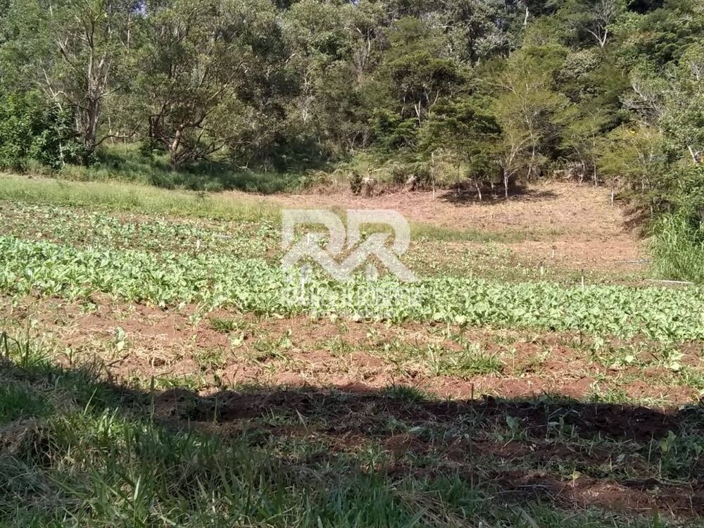 Sítio, 3 quartos, 20 hectares - Foto 17