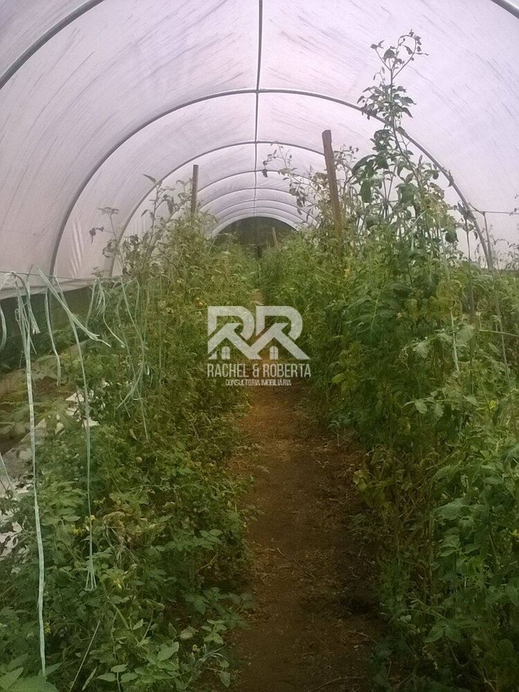 Sítio, 3 quartos, 20 hectares - Foto 14