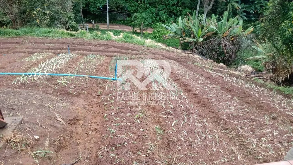 Sítio, 3 quartos, 20 hectares - Foto 17