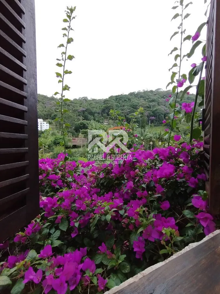 Casa, 4 quartos, 249 m² - Foto 28