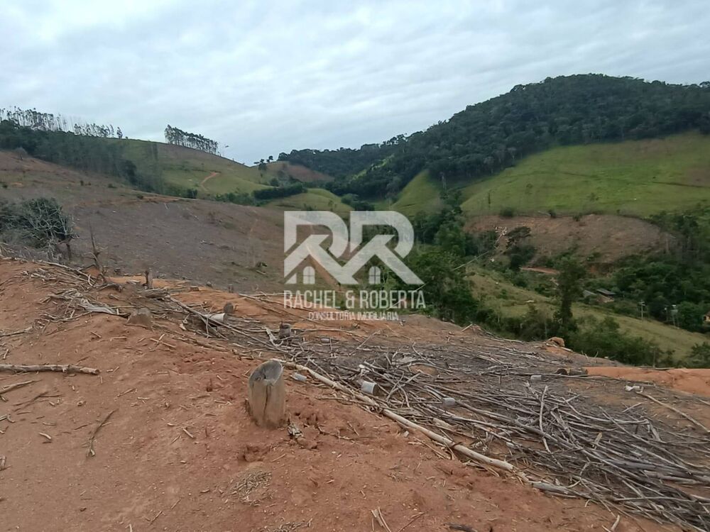 Fazenda à venda com 3 quartos, 61000m² - Foto 4