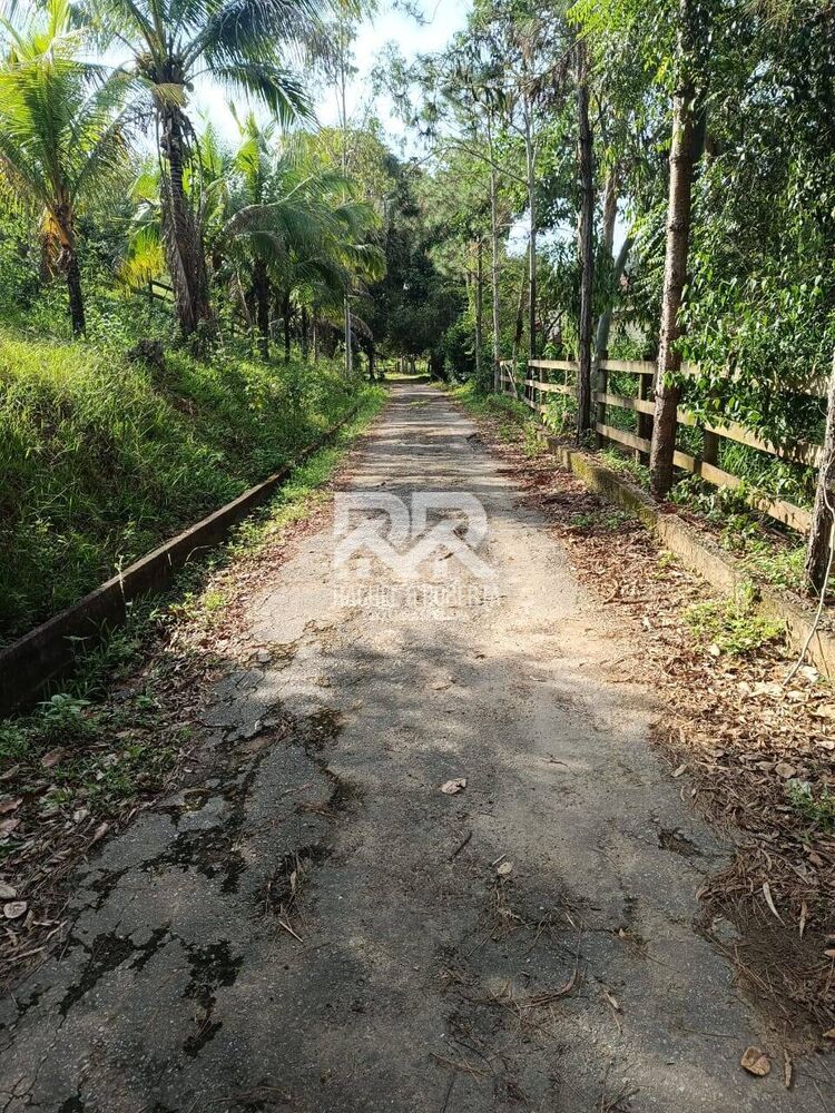 Fazenda à venda com 3 quartos, 61000m² - Foto 6