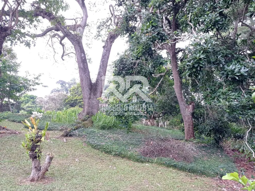 Casa, 4 quartos, 450 m² - Foto 42