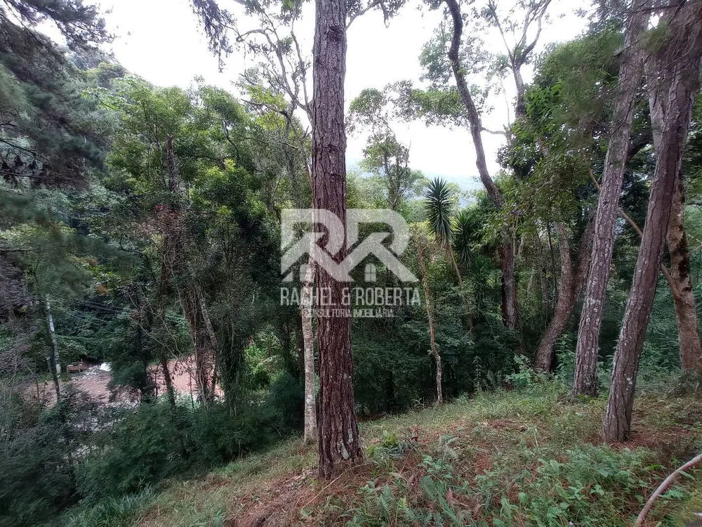 Casa, 3 quartos, 256 m² - Foto 4