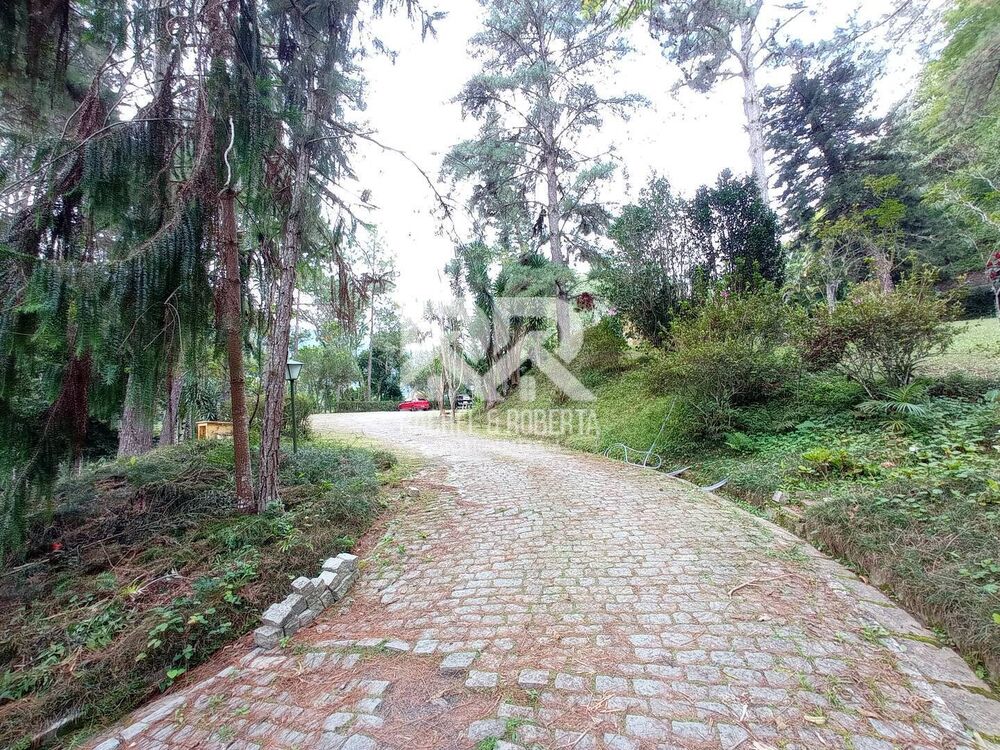 Casa, 3 quartos, 256 m² - Foto 5