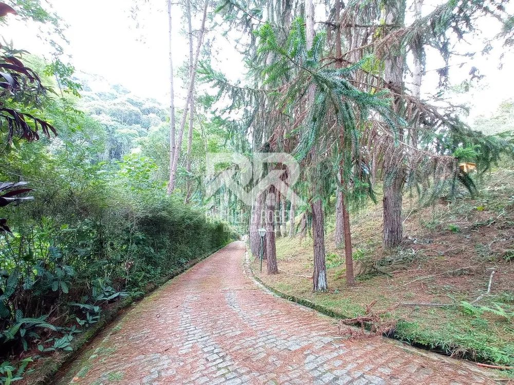 Casa, 3 quartos, 256 m² - Foto 12