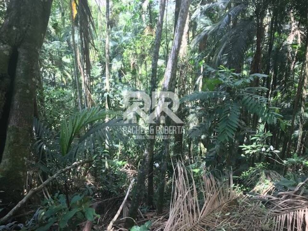 Terreno, 1 hectares - Foto 3