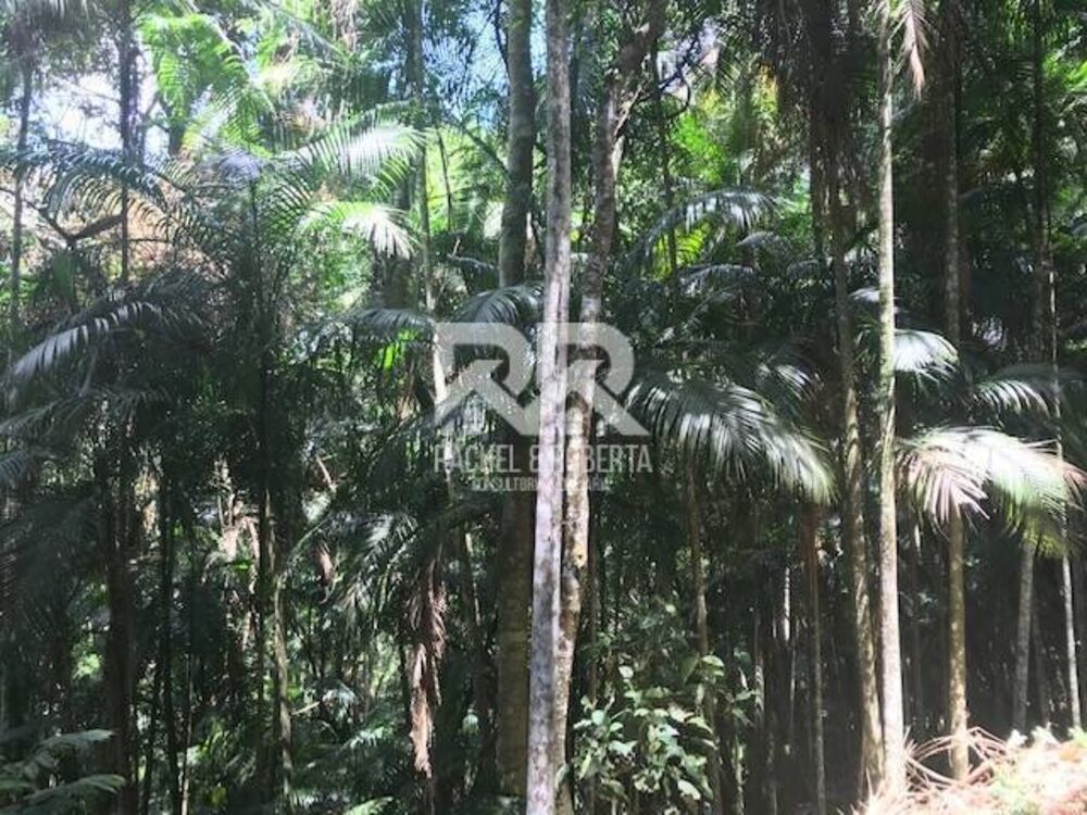 Terreno, 1 hectares - Foto 2