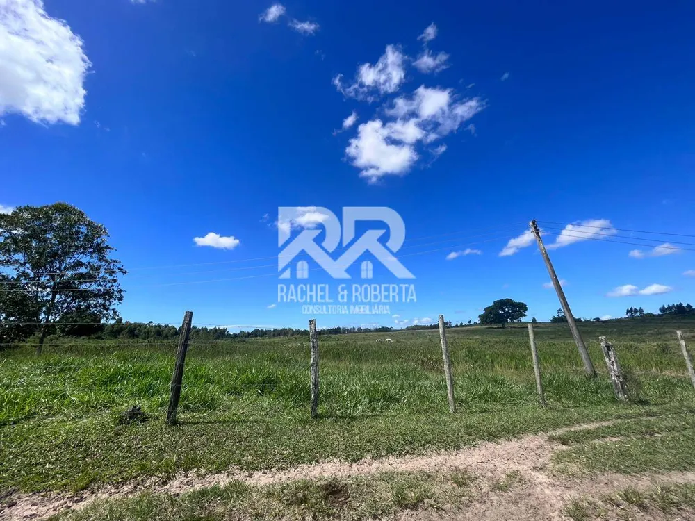 Terreno, 126 hectares - Foto 33