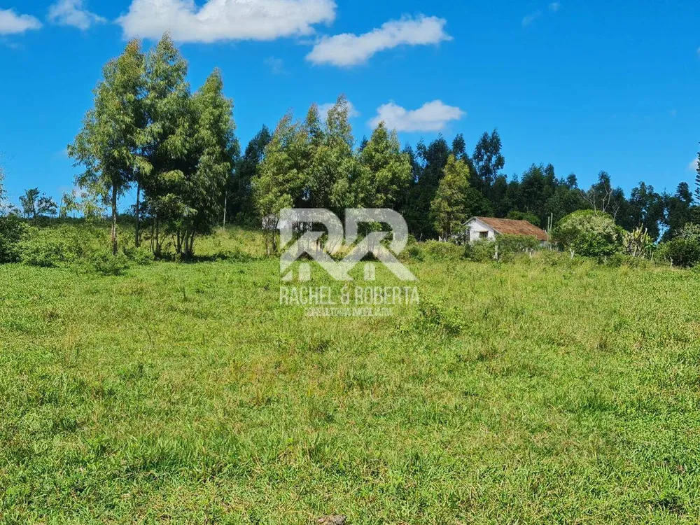 Terreno, 126 hectares - Foto 11