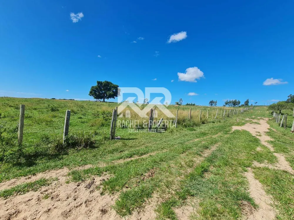 Terreno, 126 hectares - Foto 34