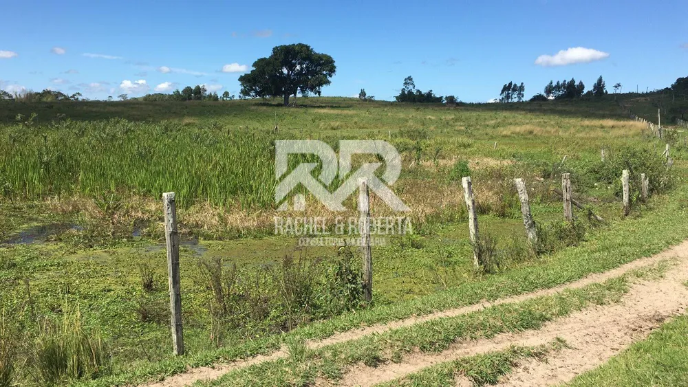 Terreno, 126 hectares - Foto 36