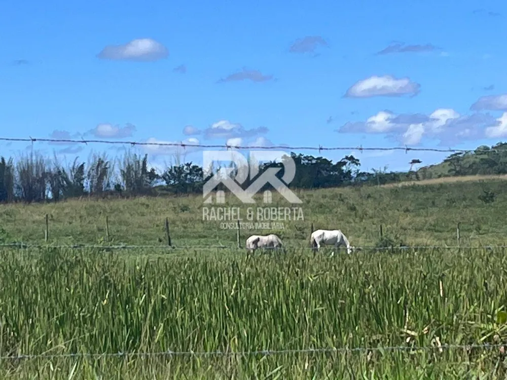 Terreno, 126 hectares - Foto 23