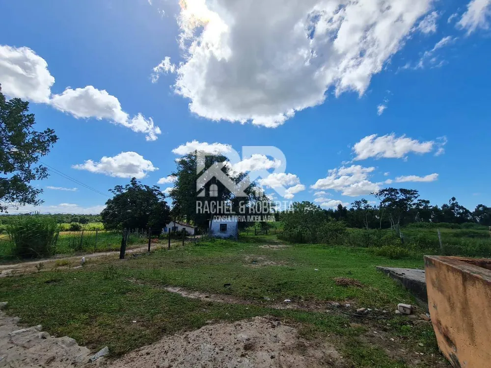 Terreno, 126 hectares - Foto 40