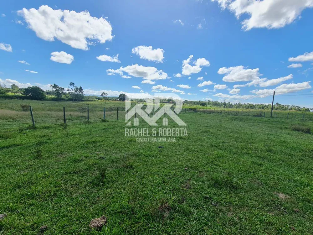 Terreno, 126 hectares - Foto 10