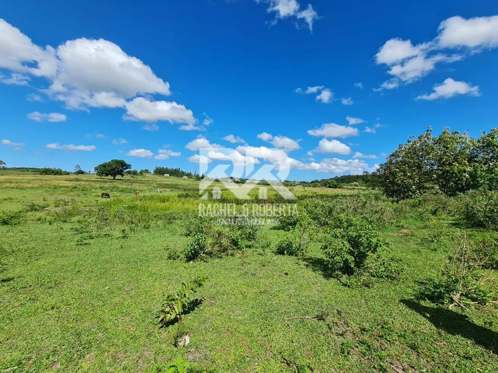Terreno, 126 hectares - Foto 30