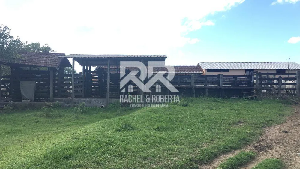 Terreno, 126 hectares - Foto 19