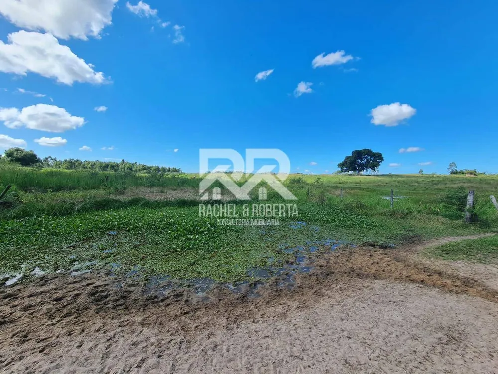 Terreno, 126 hectares - Foto 35