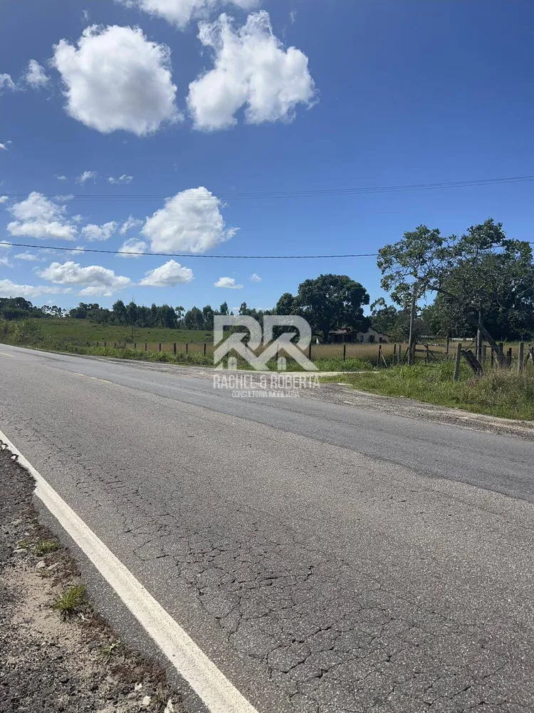 Terreno, 126 hectares - Foto 4