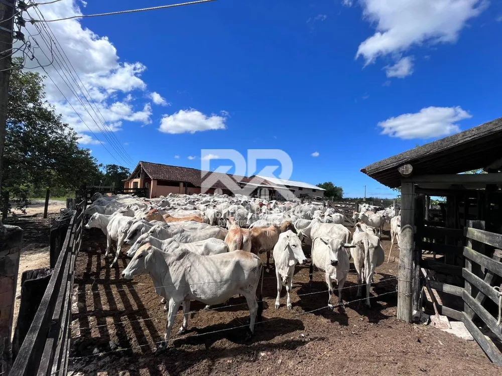 Terreno, 126 hectares - Foto 6