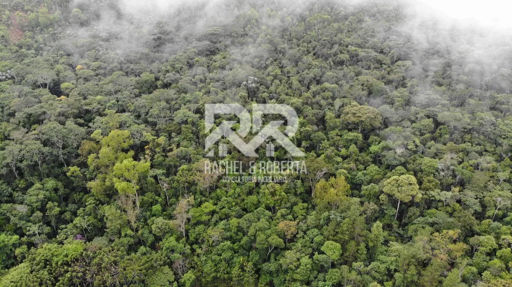Fazenda, 87 hectares - Foto 4