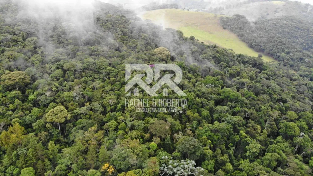 Fazenda, 87 hectares - Foto 3