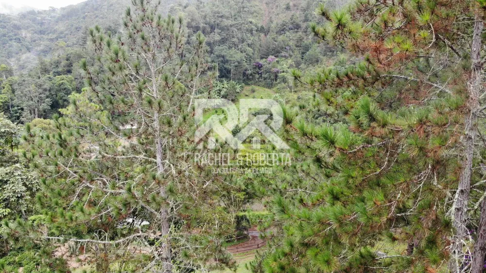 Fazenda, 87 hectares - Foto 16