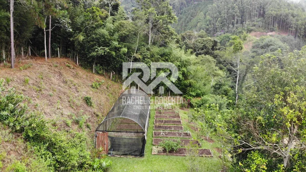 Fazenda, 87 hectares - Foto 13