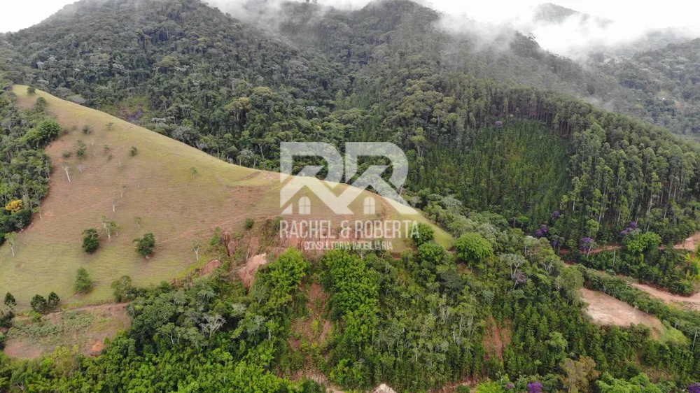 Fazenda, 87 hectares - Foto 8