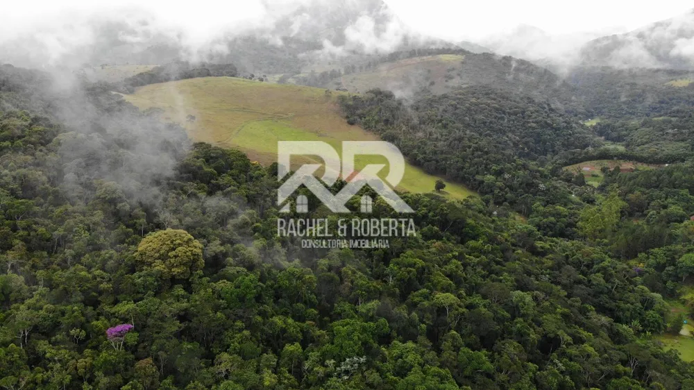 Fazenda, 87 hectares - Foto 6