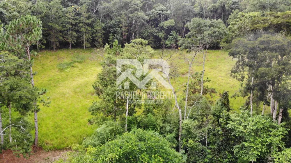 Fazenda, 87 hectares - Foto 19