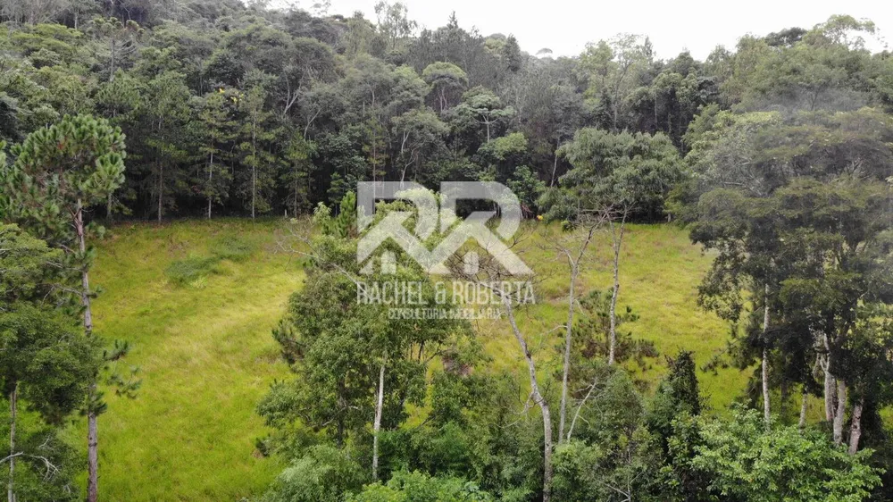 Fazenda, 87 hectares - Foto 21