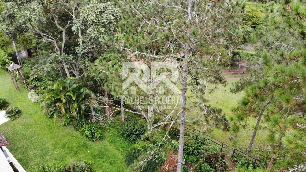 Fazenda, 87 hectares - Foto 14