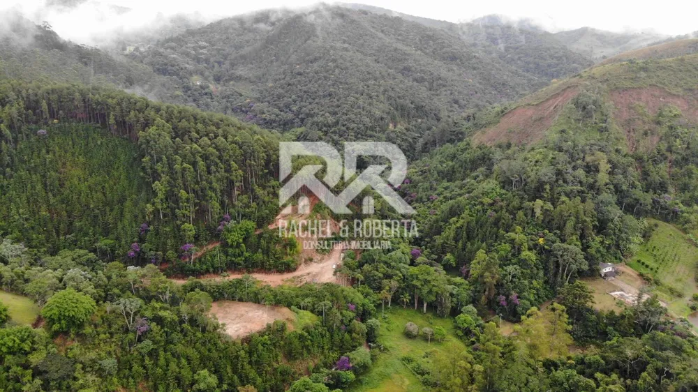 Fazenda, 87 hectares - Foto 9