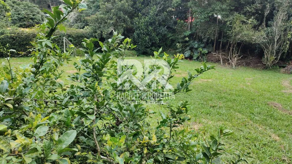 Casa, 6 quartos, 970 m² - Foto 26